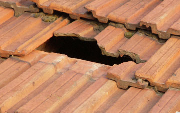 roof repair Davington